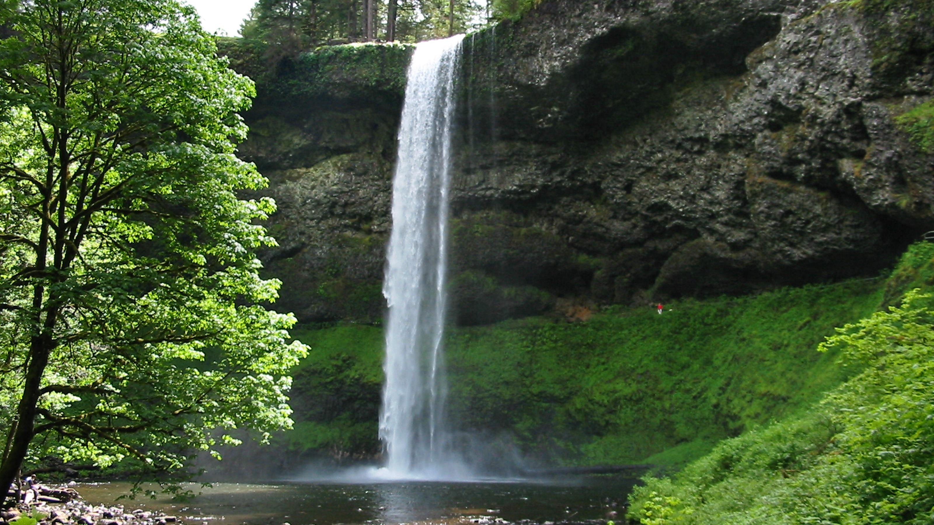 Cafe 541 A Walk Through Time At Silver Falls Cafe 541 A Walk Through Time At Silver Falls