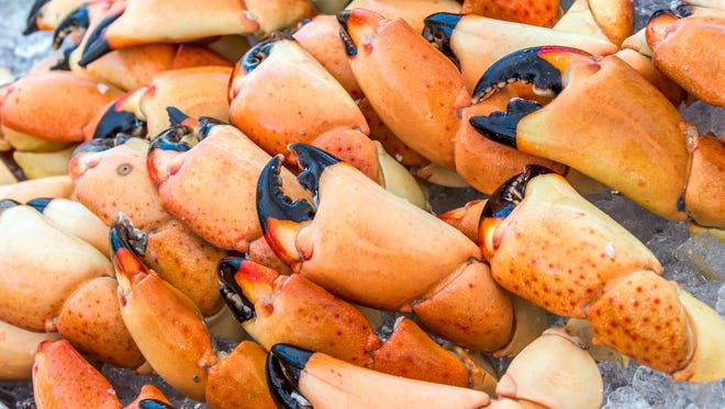Stone Crab Claws Ready to Eat