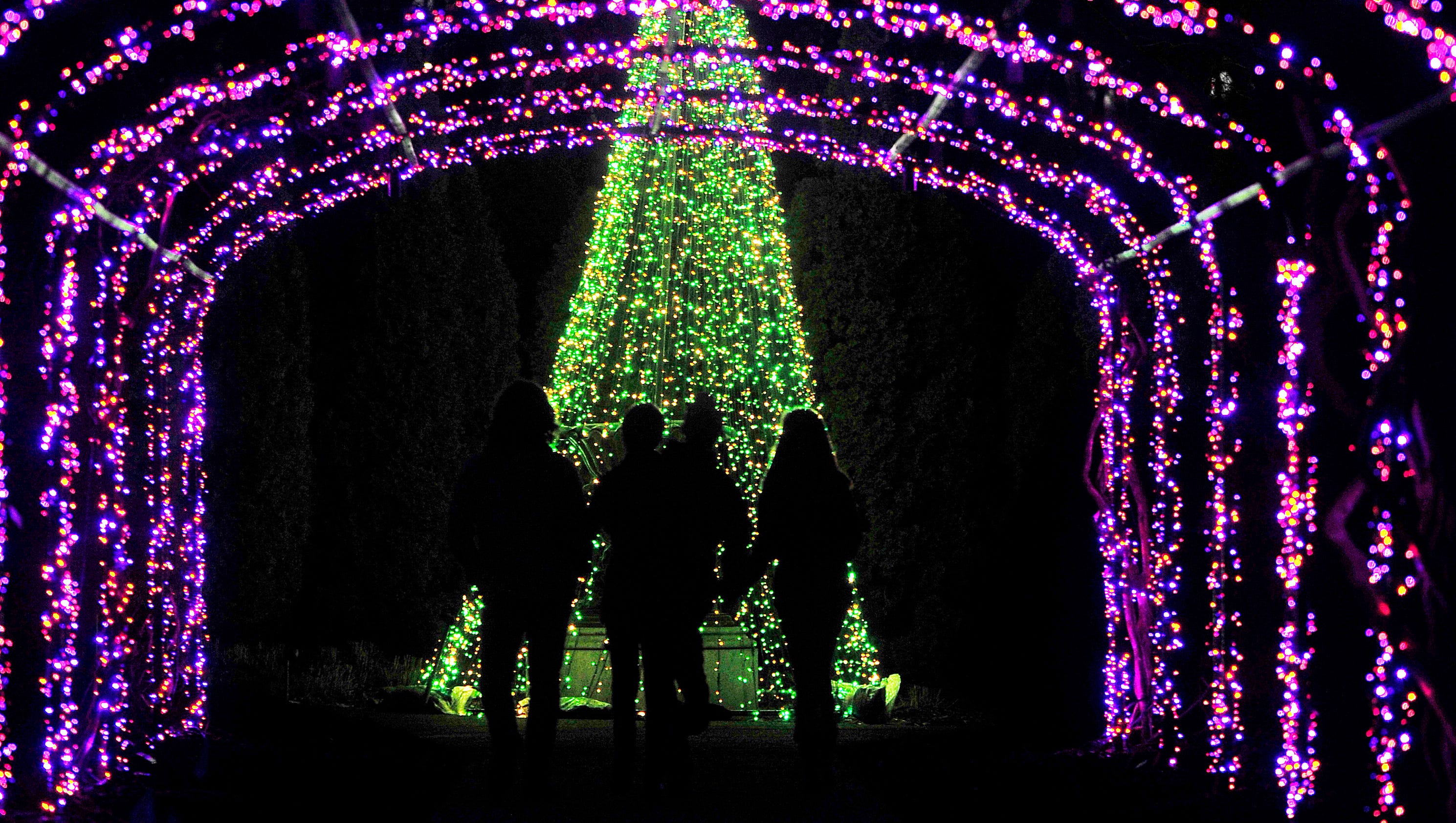 Holiday LIGHTS exhibit at Cheekwood