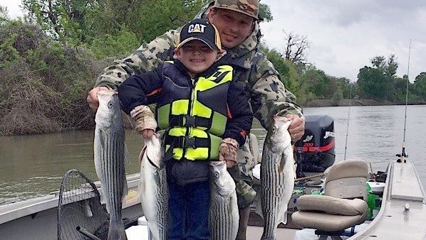 Five-year-old Deacon Linder poses with his dad, Bryce Linder of Red Bluff, with their limit of Sacramento River striped bass caught this week on live minnows with Dave Jacobs Professional Guide Service.
