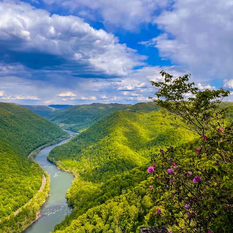 View from a trail along the New River Gorge rim