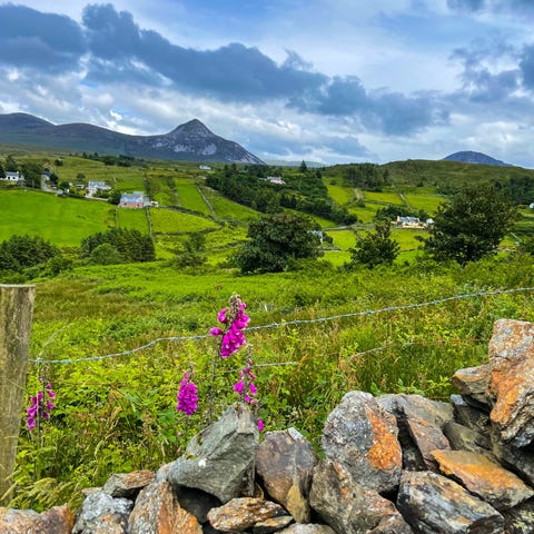 Donegal's pastoral landscape with Mount Errigal in