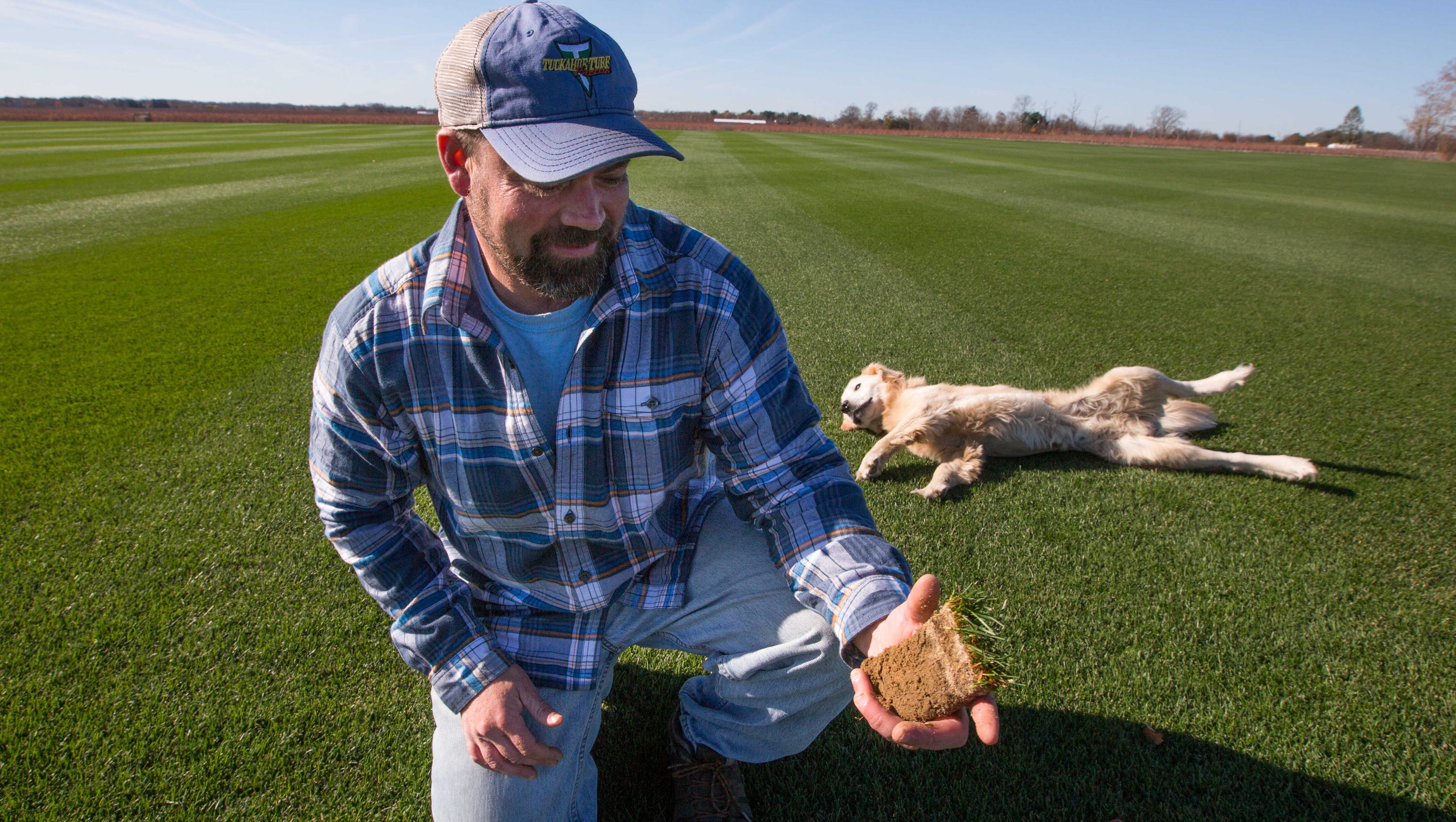 At Tuckahoe Turf Farms, sod is in the details