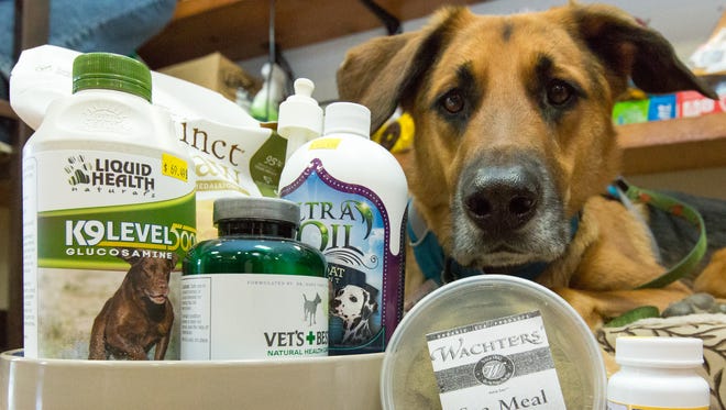 Great Dane-German shepherd mix Koda, 2, sits with his daily supplements and food, since it was learned he is allergic to chicken and turkey and has an intolerance for grains. The items pictured in the foreground at Better Life Natural Pet Foods, from left to right, are Liquid Health Naturals K-9 Level 500 glucosamine, Vet’s Vest Gas Busters, Wachters Sea Meal and ProDen Plaque Off. Pictured in the background, from left to right, are Instinct Raw dog food and Ultra Oil Skin & Coat supplement.