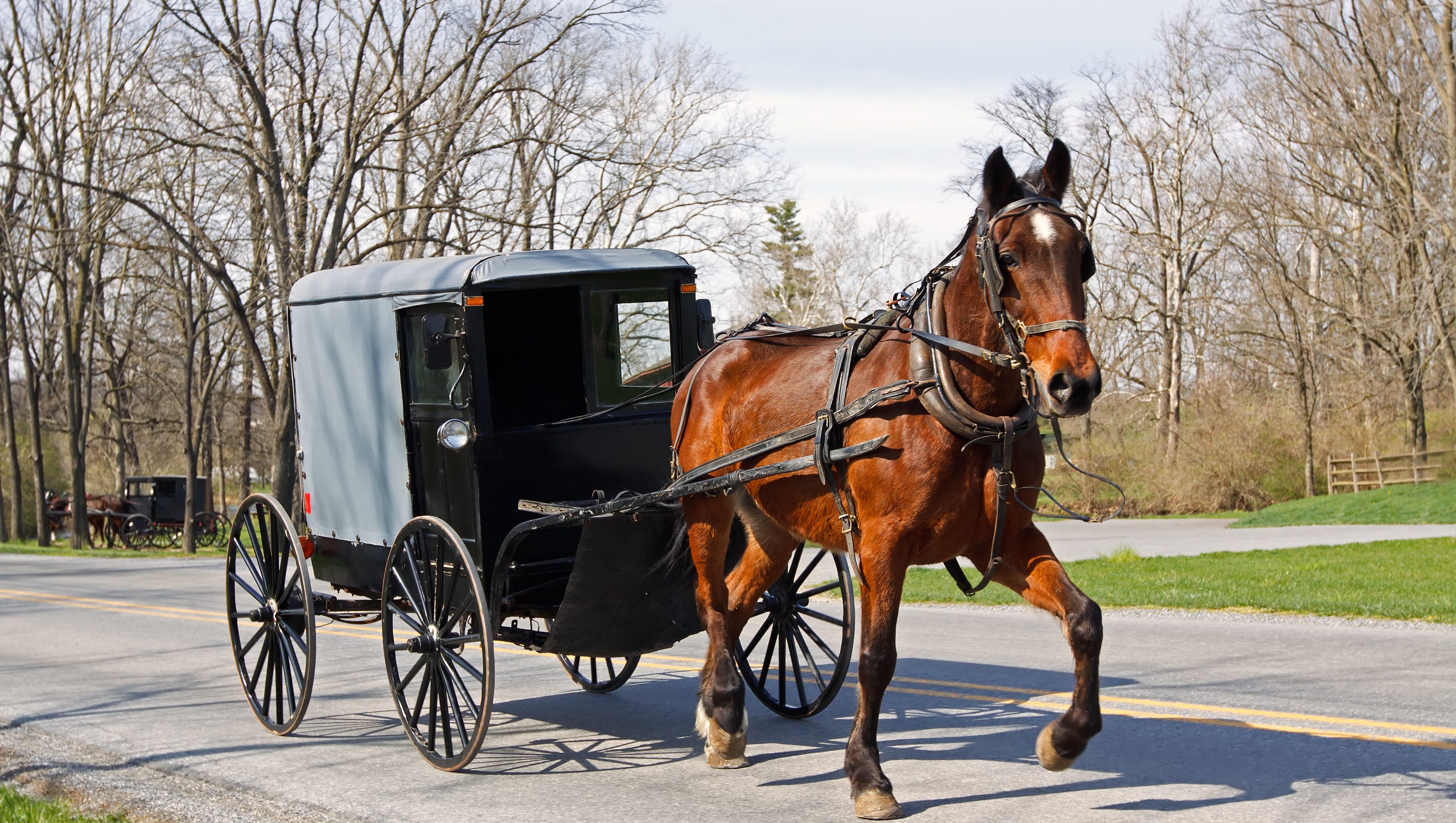 Expect To See More Amish Moving Out Of Lancaster County Pa