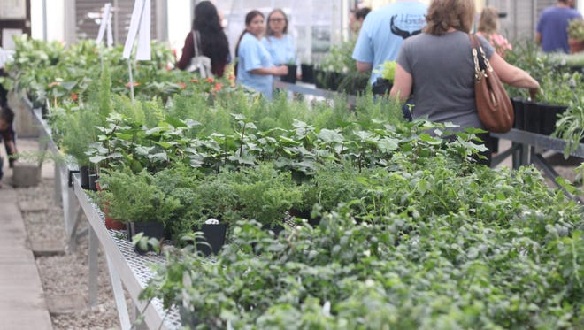 CARC residents, and volunteers were on-hand for the CARC greenhouse and store's spring opening, where residents can shop for myriad flowers and plants, March 24, 2018, at 902 W. Cherry Lane.