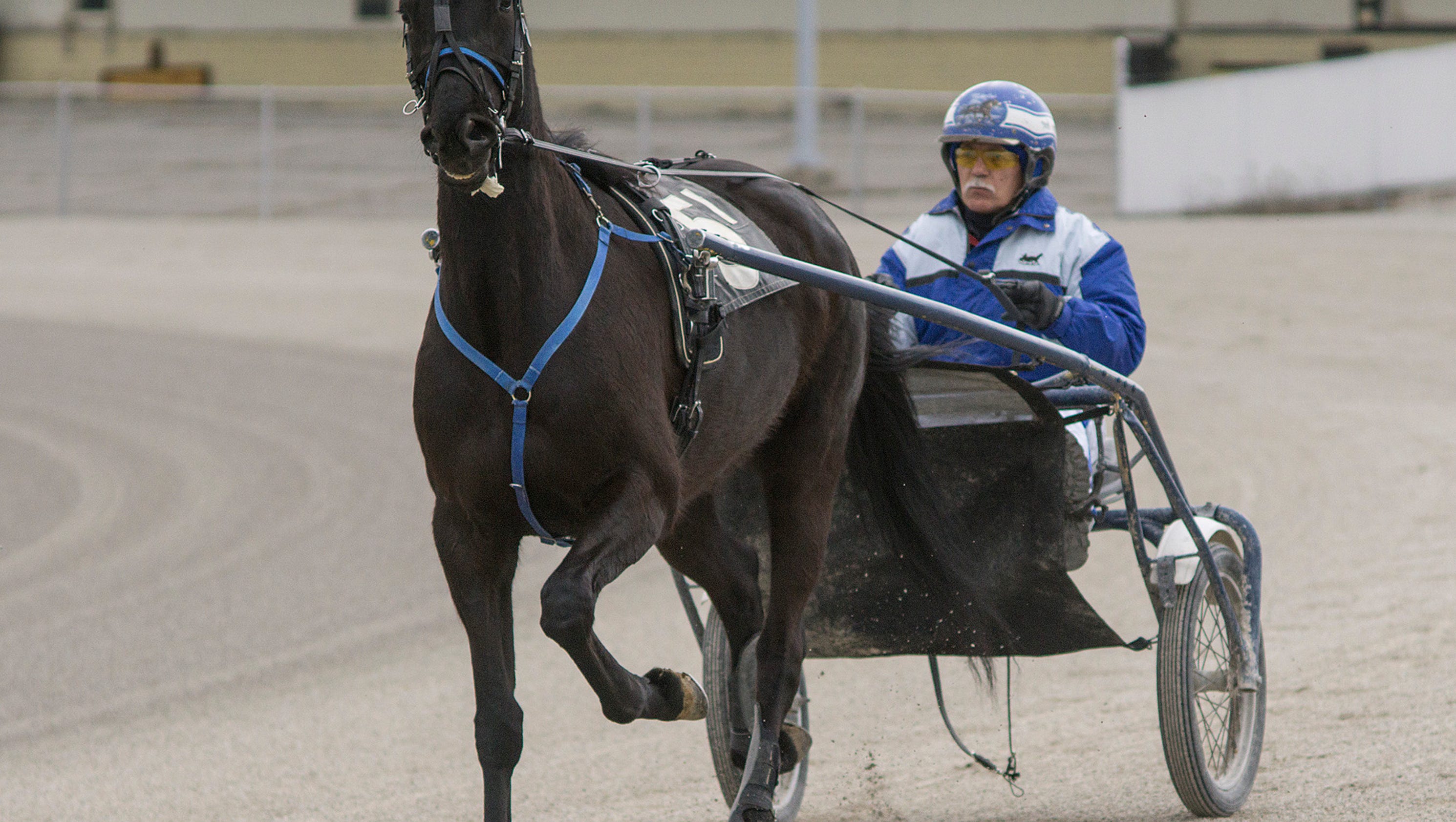 Northville Downs last Michigan horse racing venue