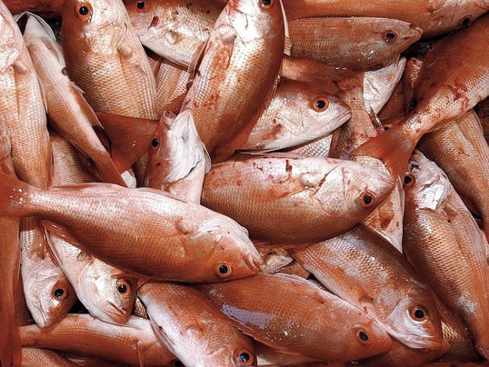 XXX D0 RED FISH  21 HOTEL CALIFORNIA A FEA MEX