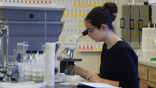 Alexandra Vernich, an 8th-grade student at Stone Magnet Middle School in Melbourne, looks through a microscope. She recently competed, along with three fellow Stone Magnet students, at the U.S. Army’s annual eCYBERMISSION competition in Washington, D.C.