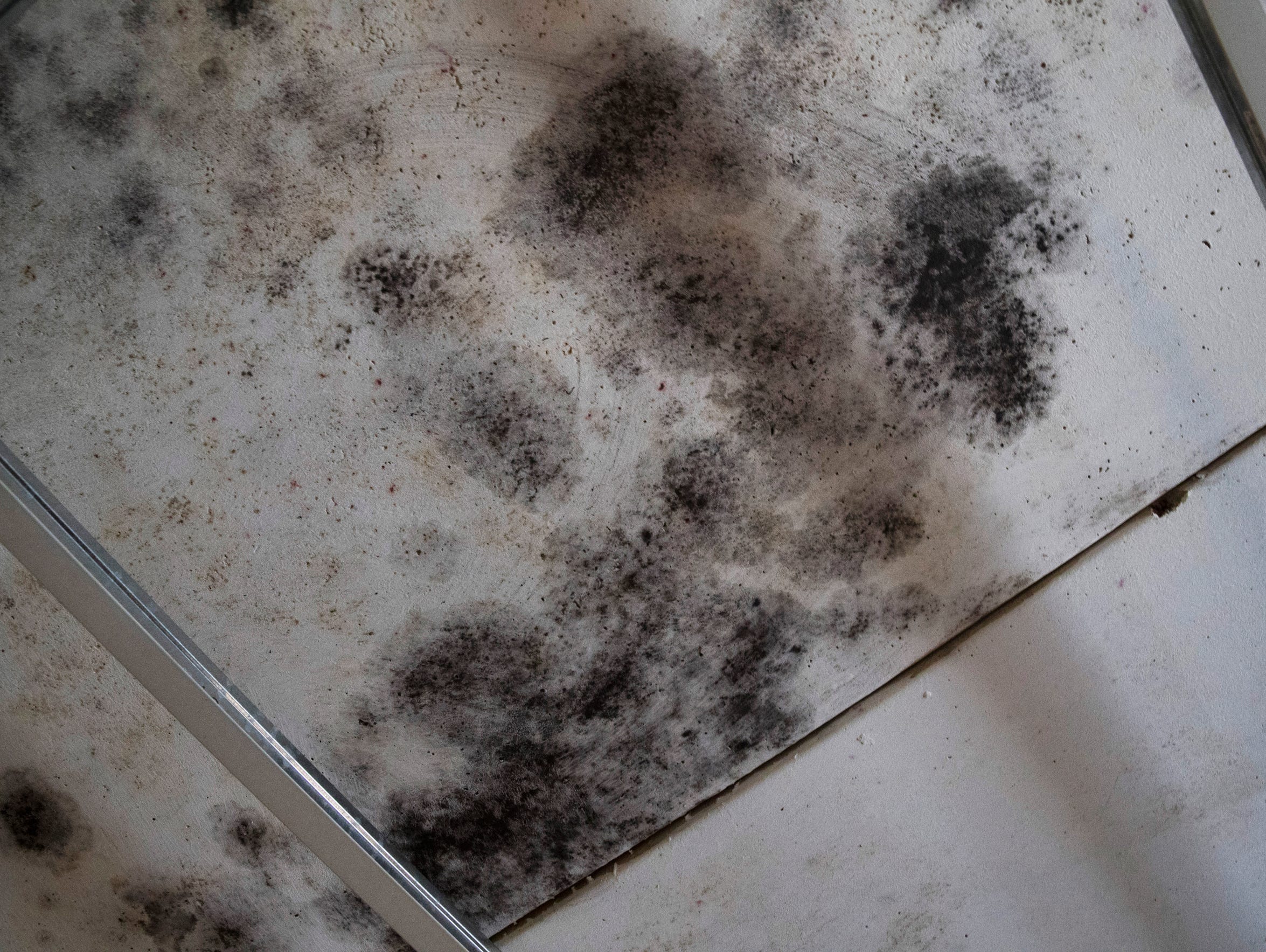 Mold on the ceiling at Shanica James' apartment at