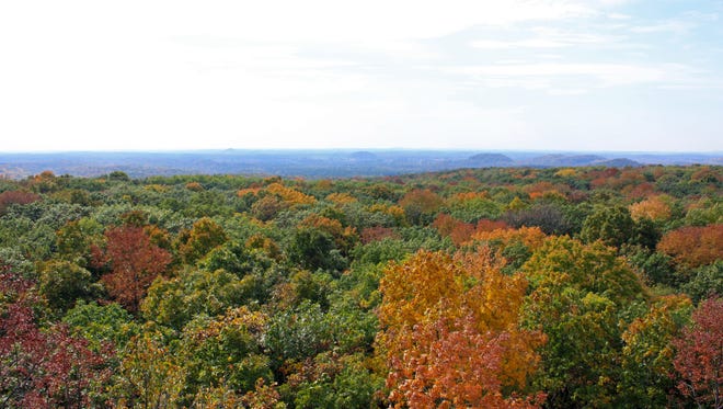 The 60-foot Parnell Tower provides views of the surrounding Kettle Moraine State Forest, including hills and kames in the distance.