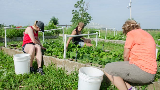 The Full Circle Gardens Program has allowed OFH to provide tens of thousands of pounds of locally grown produce to people in the Ozarks who are struggling to put food on the table.