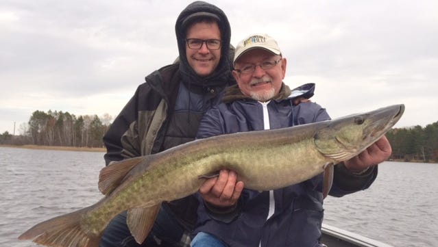Jerry Kitto with this nice 45 inch musky in the Hayward area