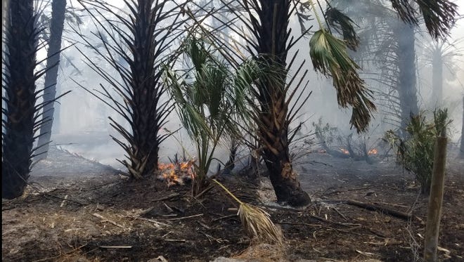 State and local officials fight Monday brush fire