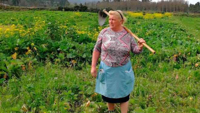 Dolores Leis stands in a field on her farm in Galicia, in northern Spain, Thursday April 19, 2018. Leis, has found unexpected fame on social media after many found she bore a striking resemblance to U.S. President Donald Trump. Thousands of responses flooded in last week after a journalist reporting on farming in northwestern Spain posted on Instagram a picture of Dolores Leis dressed in farm clothing with a hoe over her shoulder.