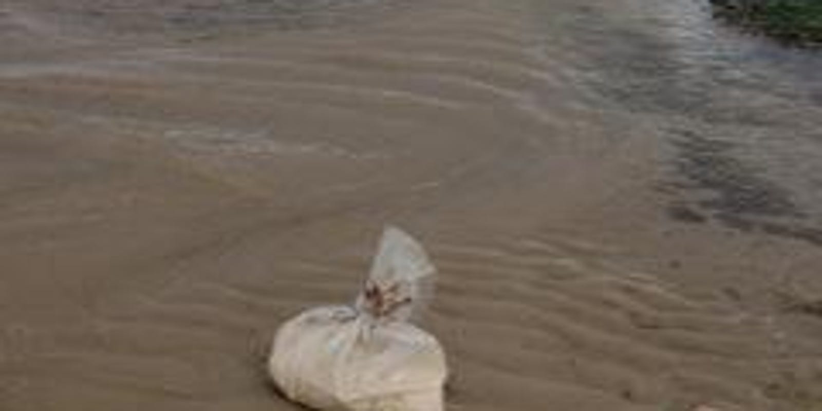Reports Cremated Remains Have Been Identified