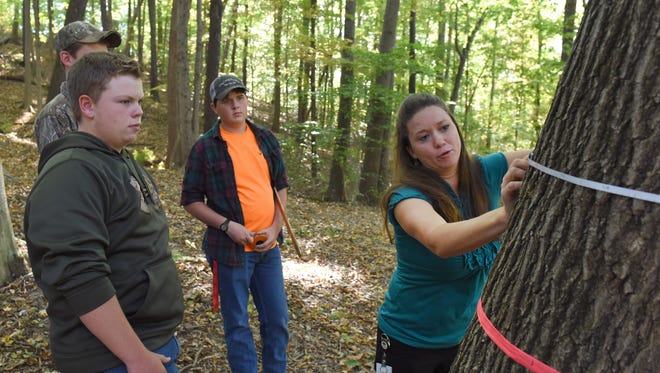 Heather Foster, FFA chapter advisor and New Lexington High School agriculture teacher, measures the diameter of a tree with students Dakota Brame, Clay Weber, 15, and Luken Hoffman, 14, during an after school practice session in New Lexington. The parliamentary procedure and forestry teams qualified for the national convention after both teams won their state tournaments.