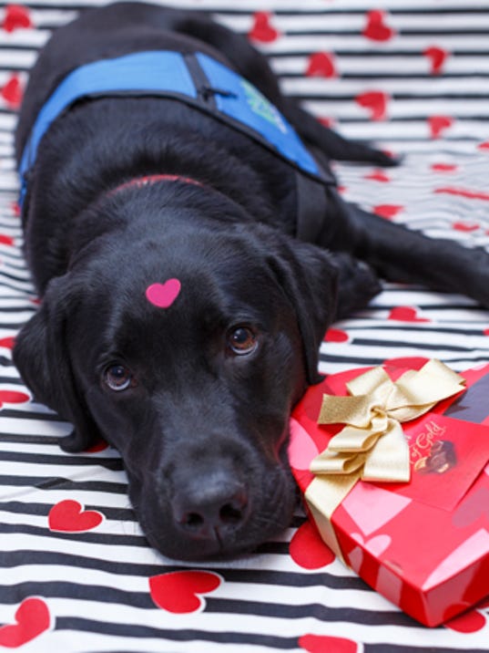 Have a puppy deliver your Valentine's gift