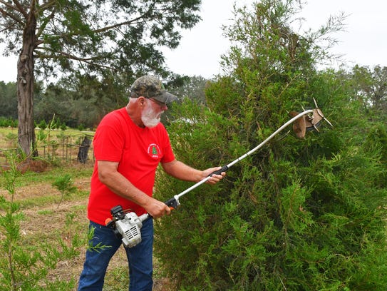 Cut Your Own Christmas Tree Pakenham Oaks Xdnqqy Newyear24 Site