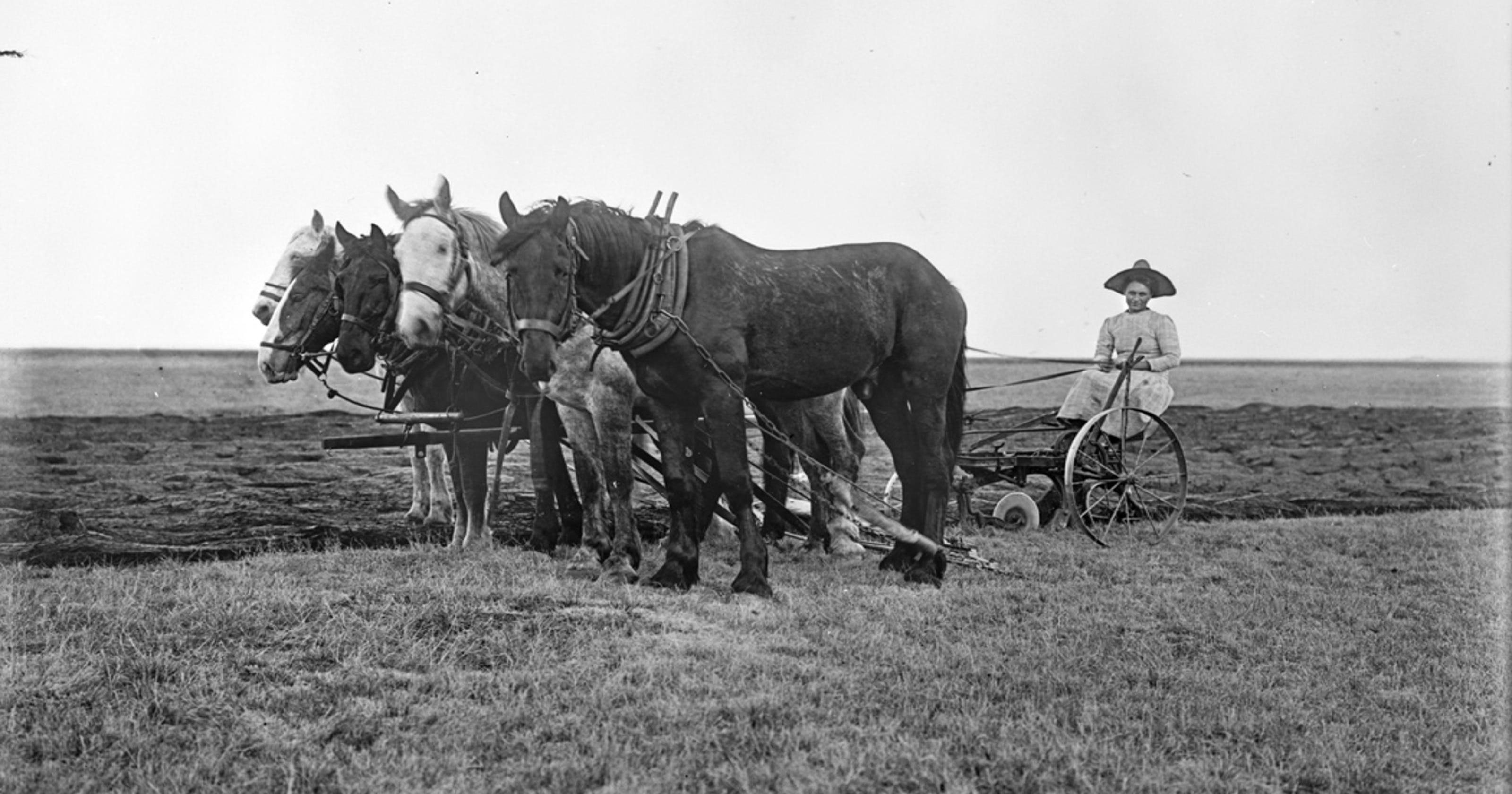 Photos that change way you think about Montana history