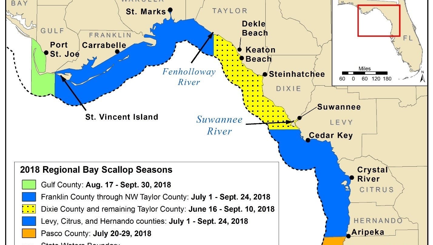 Scallop Harvesting Dates Locations And Rules To Follow