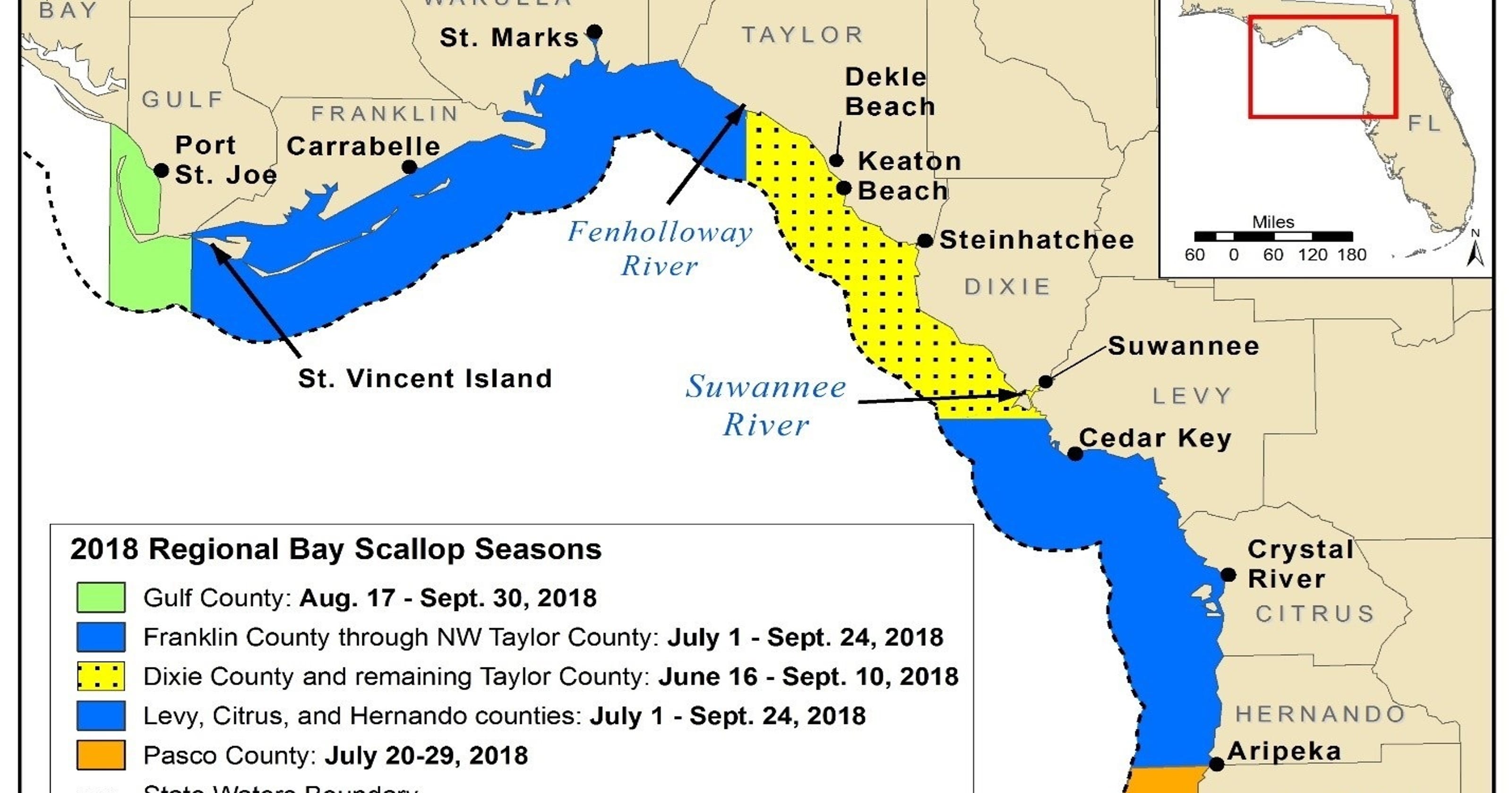 Scallop harvesting dates, locations, and rules to follow