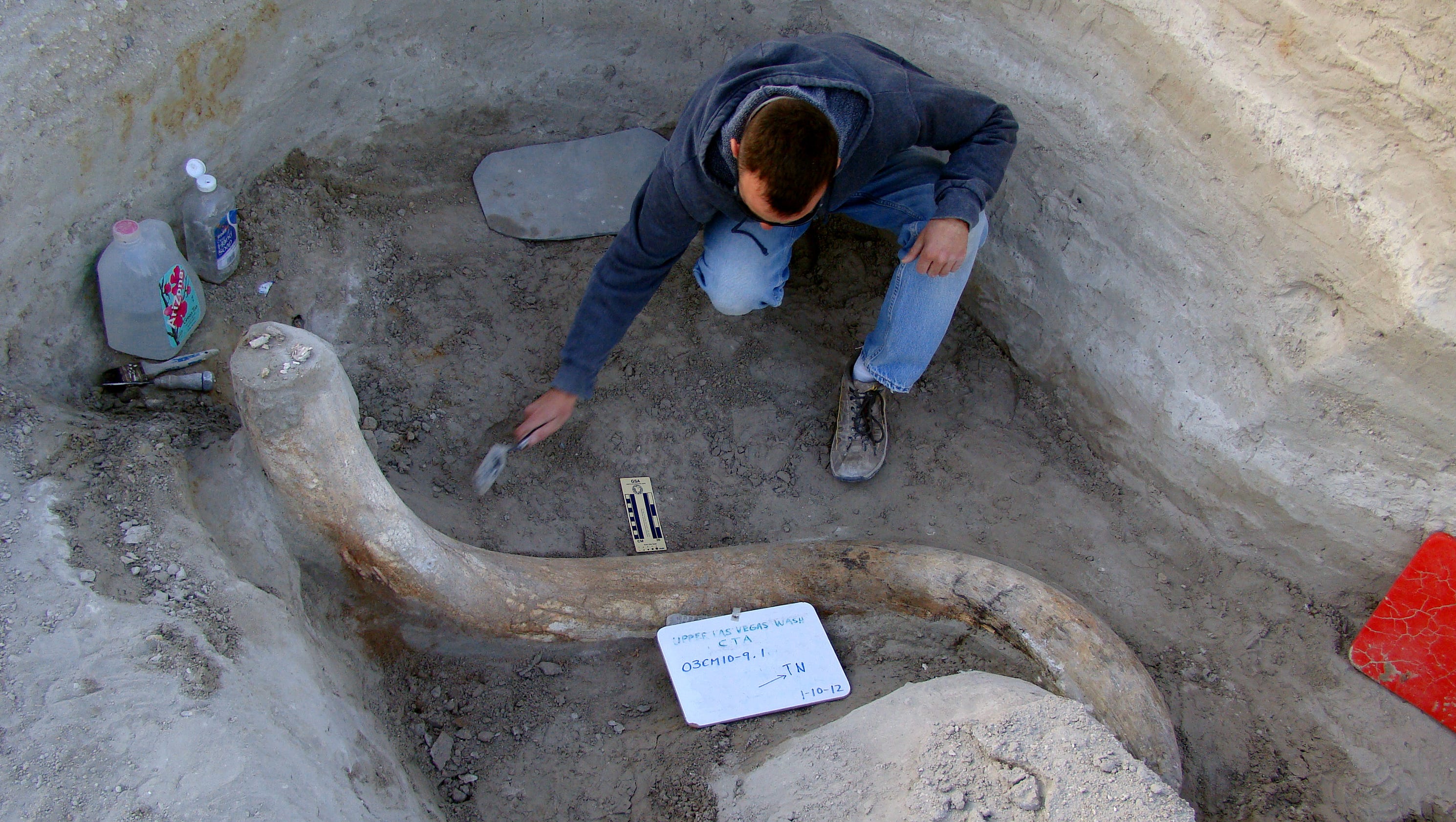 Beyond dinosaurs Fossils in national parks