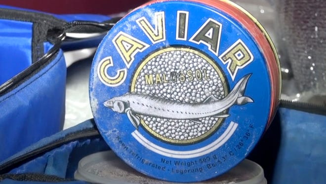 In this video frame grab made available by Associated Press Television News a can with caviar is on display in a hearse seized by police near Khabarovsk, Russia's Far East on Tuesday.