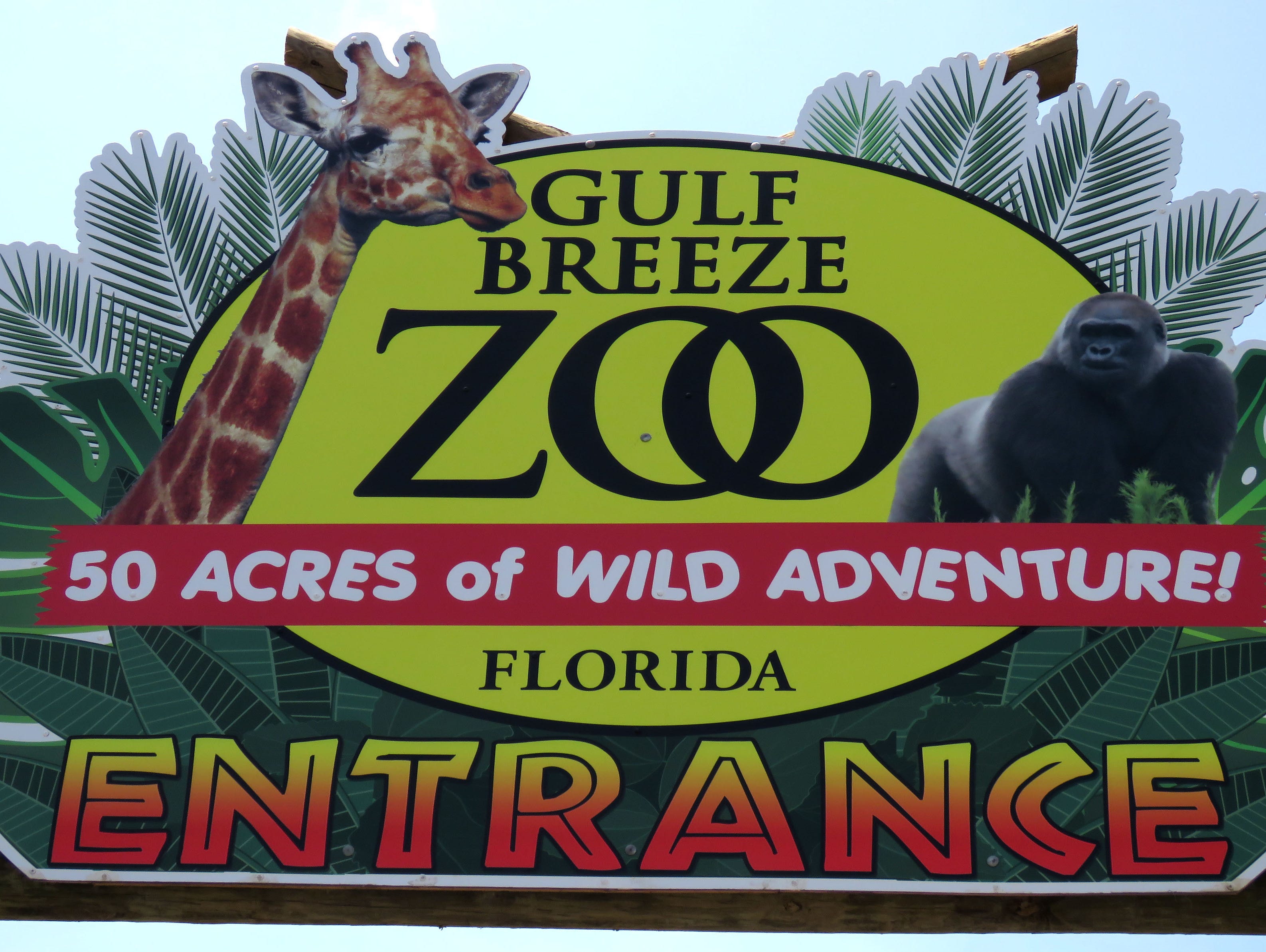 gulf breeze zoo summer camp gulf breeze zoo summer camp