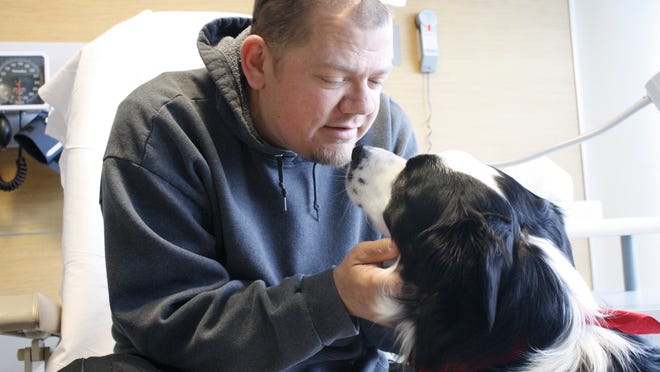 Reading resident Brad Farmer, a patient at Mercy Health - West Hospital in Green Township, gets some love from Gauge, a certified therapy dog who provides comfort to patients at the hospital a few days each week. The 2-year-old Border Collie is certified through Therapy Dog International.