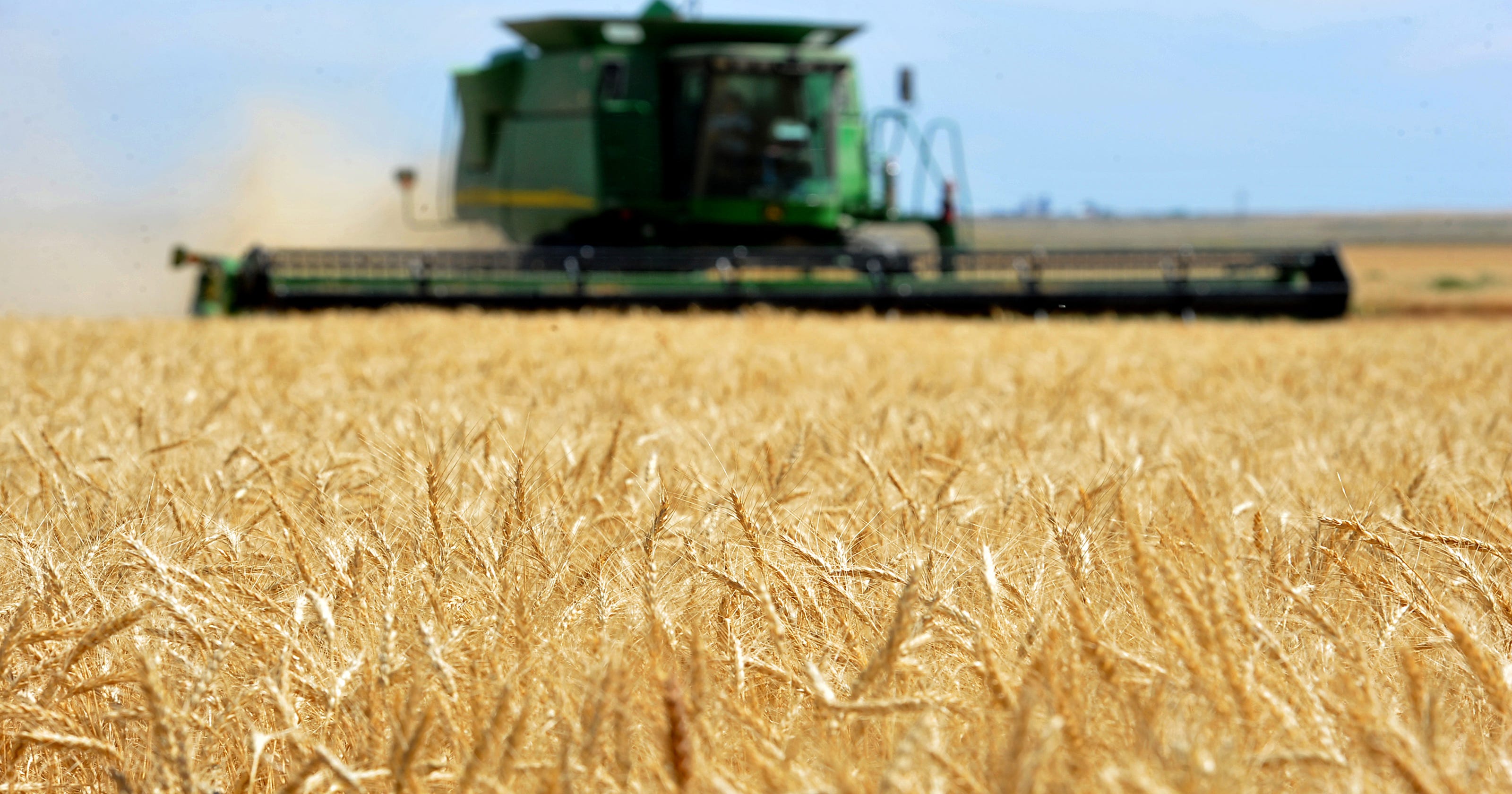 How Much Do You Know About Montana Agriculture - 