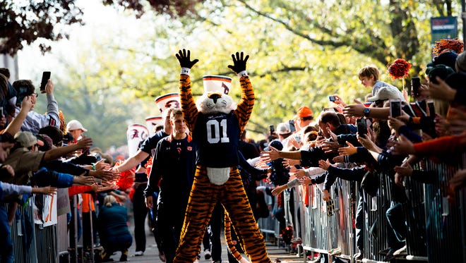 Aubie greets fans during Tiger Walk before the NCAA football game between Auburn and Louisiana Monroe on Saturday, Nov. 18, 2017, in Auburn, Ala. 