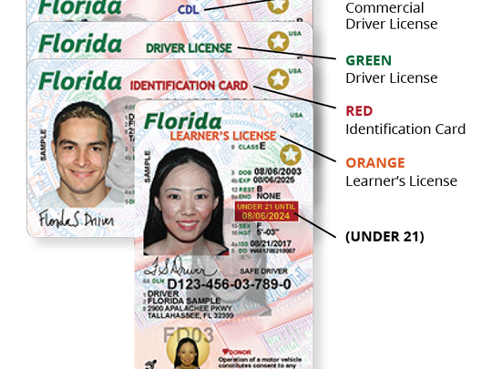 How To Get A Florida Drivers License >> Forged Immigration Documents Helped Those In Country Illegally Get How To Get A Florida Drivers License >> Forged Immigration Documents Helped Those In Country Illegally Get