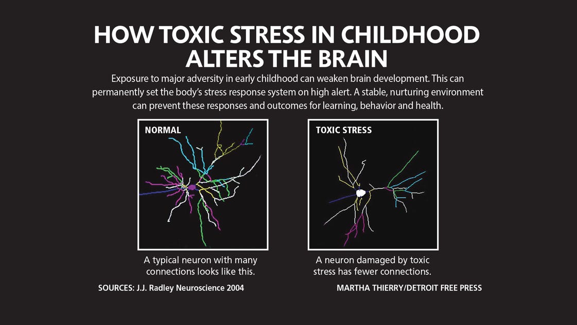 Damage of the brain mental processes and behavior