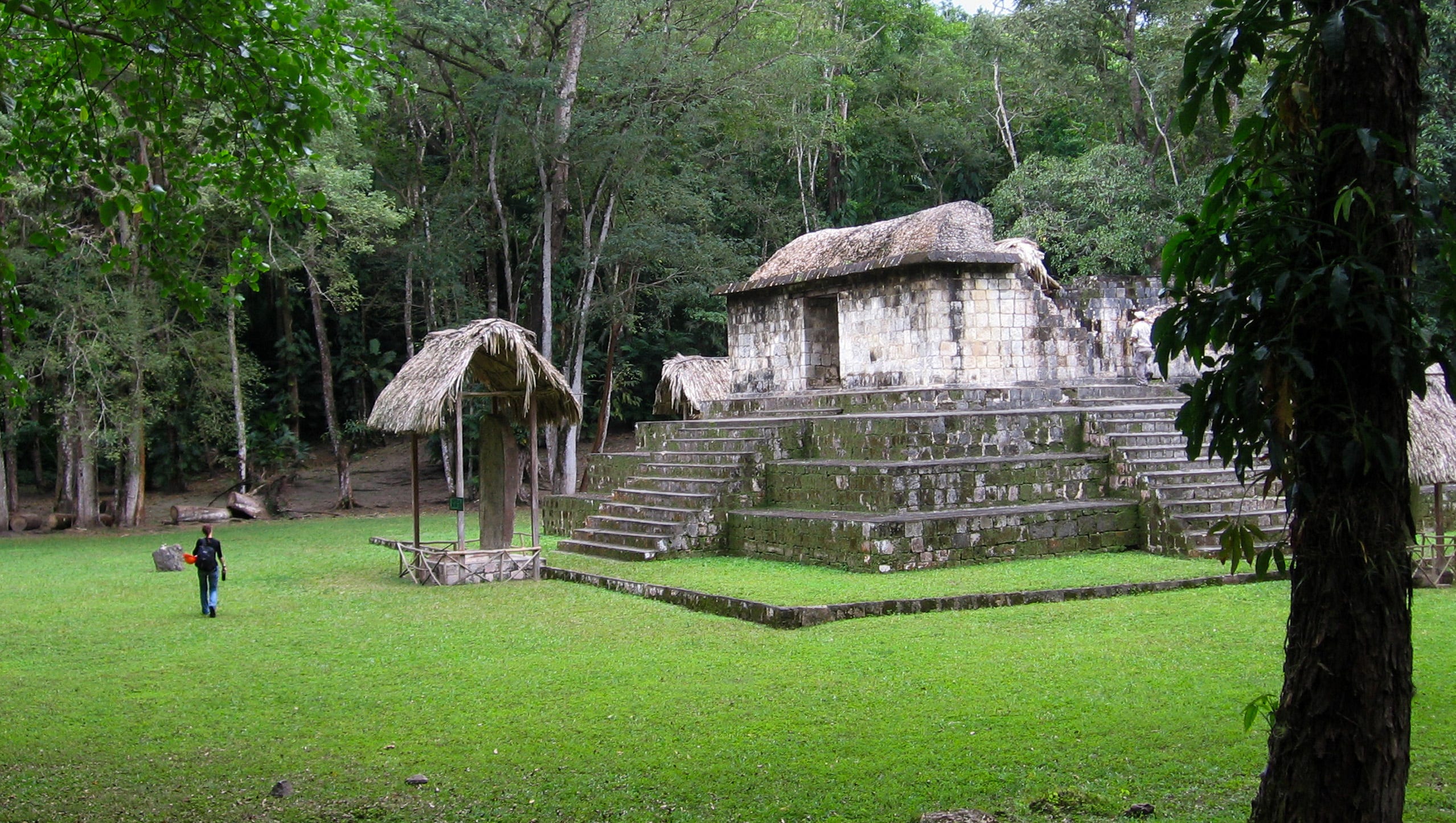 Ancient Mayans may have kept jaguars, dogs as pets — or eaten them Ancient Mayans may have kept jaguars, dogs as pets — or eaten them
