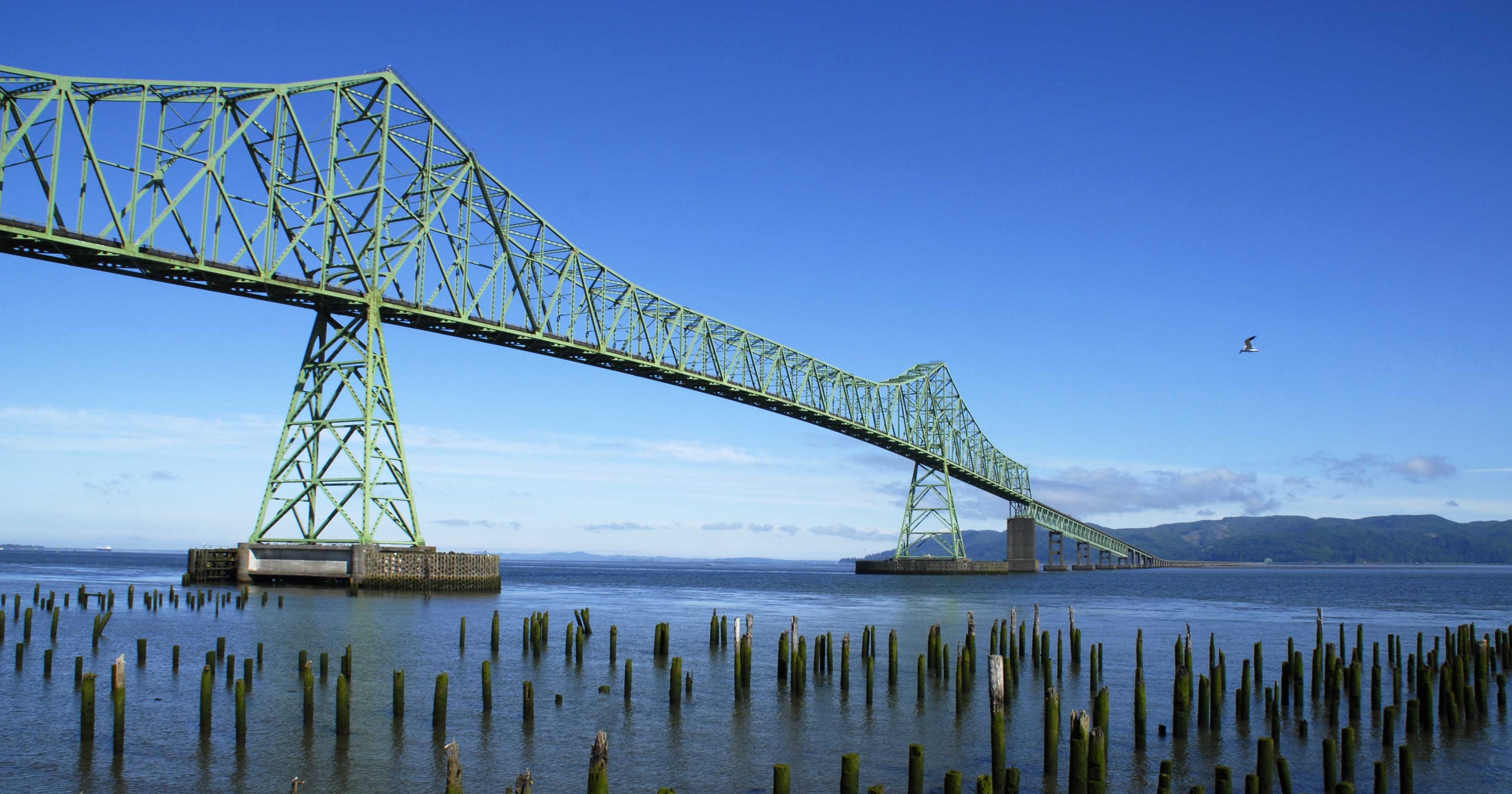 Family sues over Astoria bridge suicide