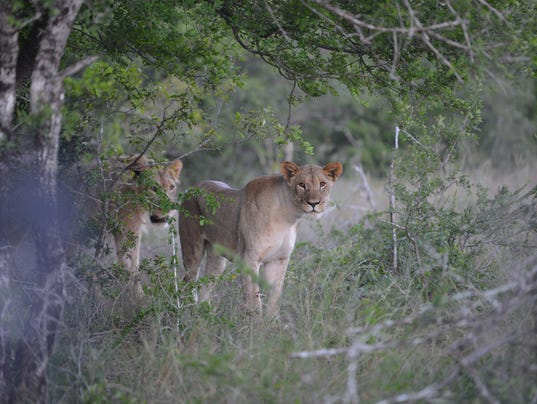 636531670871443029-2018PindaPrivateGameReserve-183.JPG