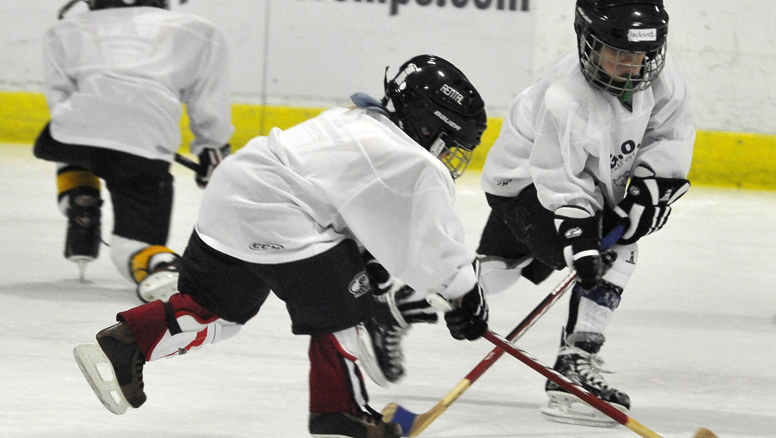 Cincinnati sports fanatics in Nashville Universe Inform