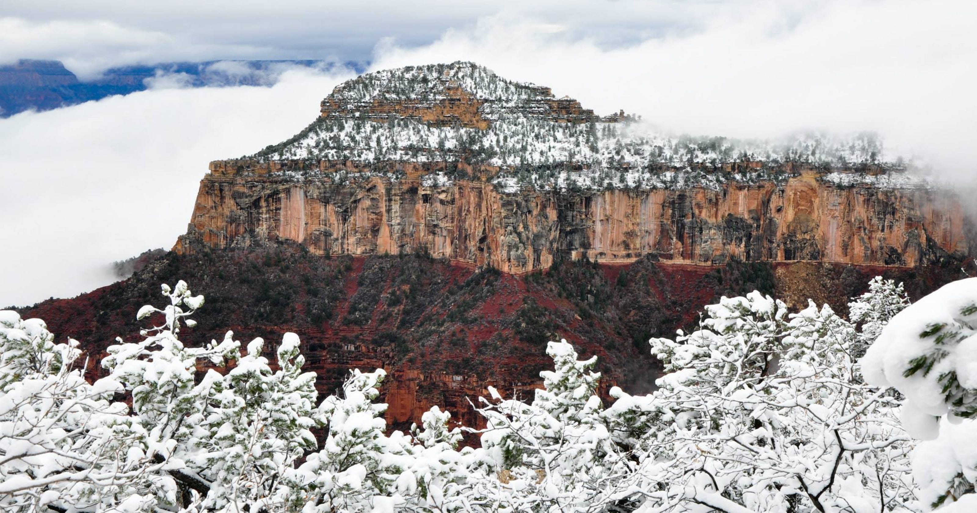 Grand Canyon's North Rim beds down for the winter