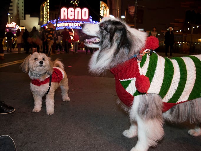 A scene from the Santa Crawl on Saturday in downtown