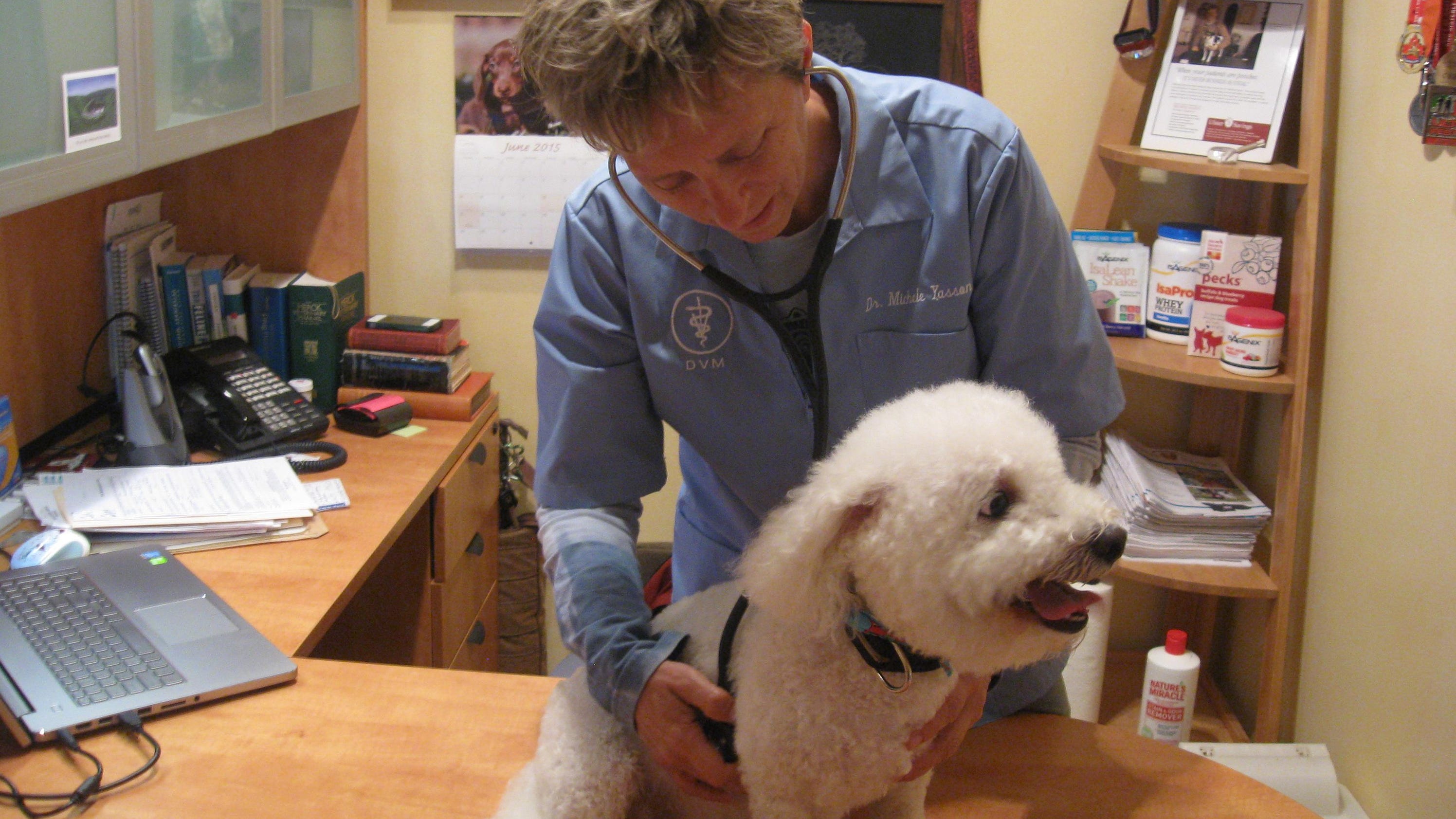 Holistic vet finds alternatives to pet care
