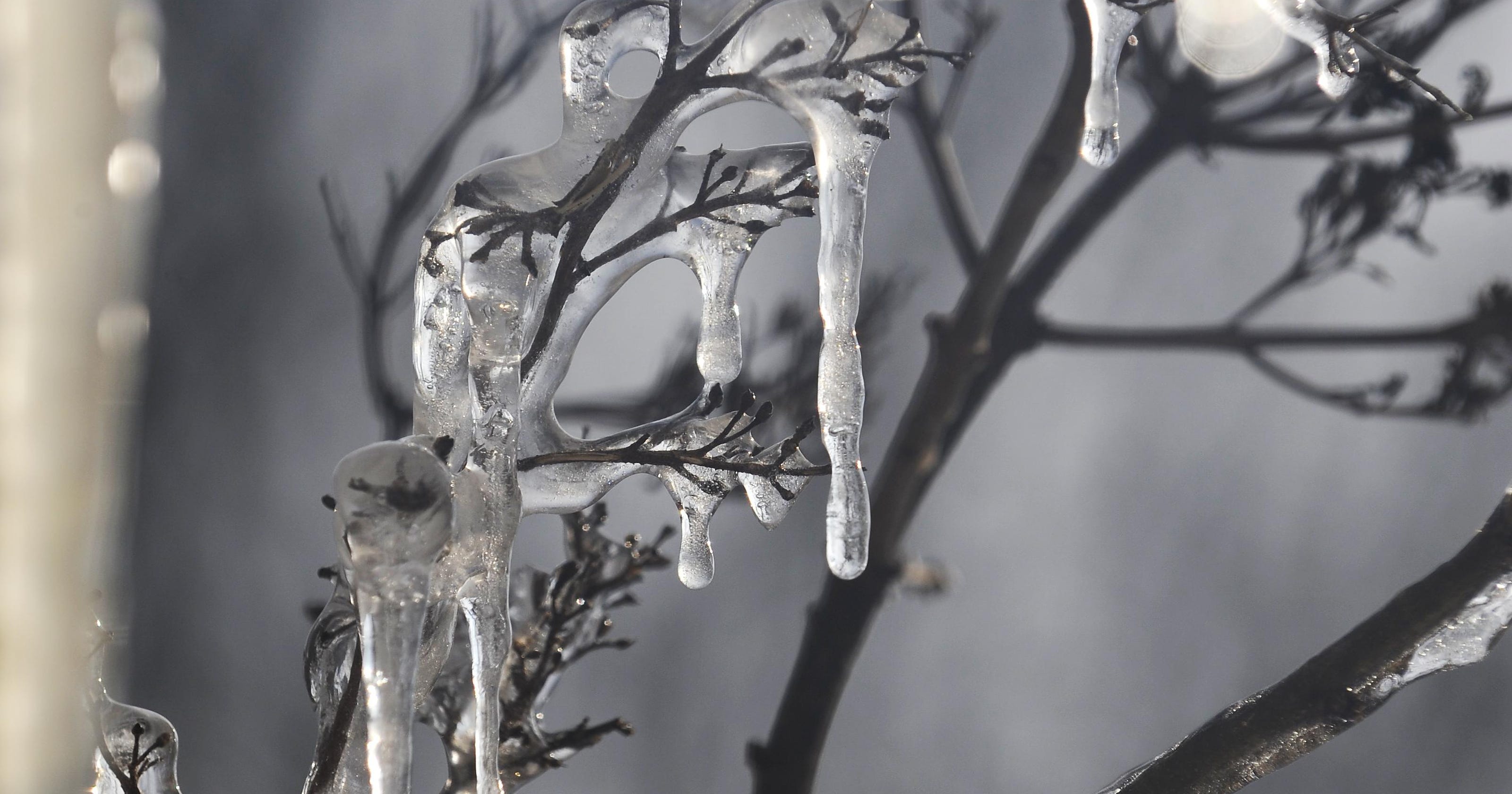 Winter Storm Watch In Effect For Se Michigan Monday