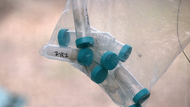 File photo shows containers filled with water samples collected for lead screening.