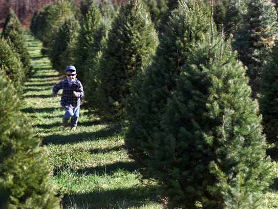 3 reasons 22 places to buy real christmas trees in nj 3 reasons 22 places to buy real christmas trees in nj