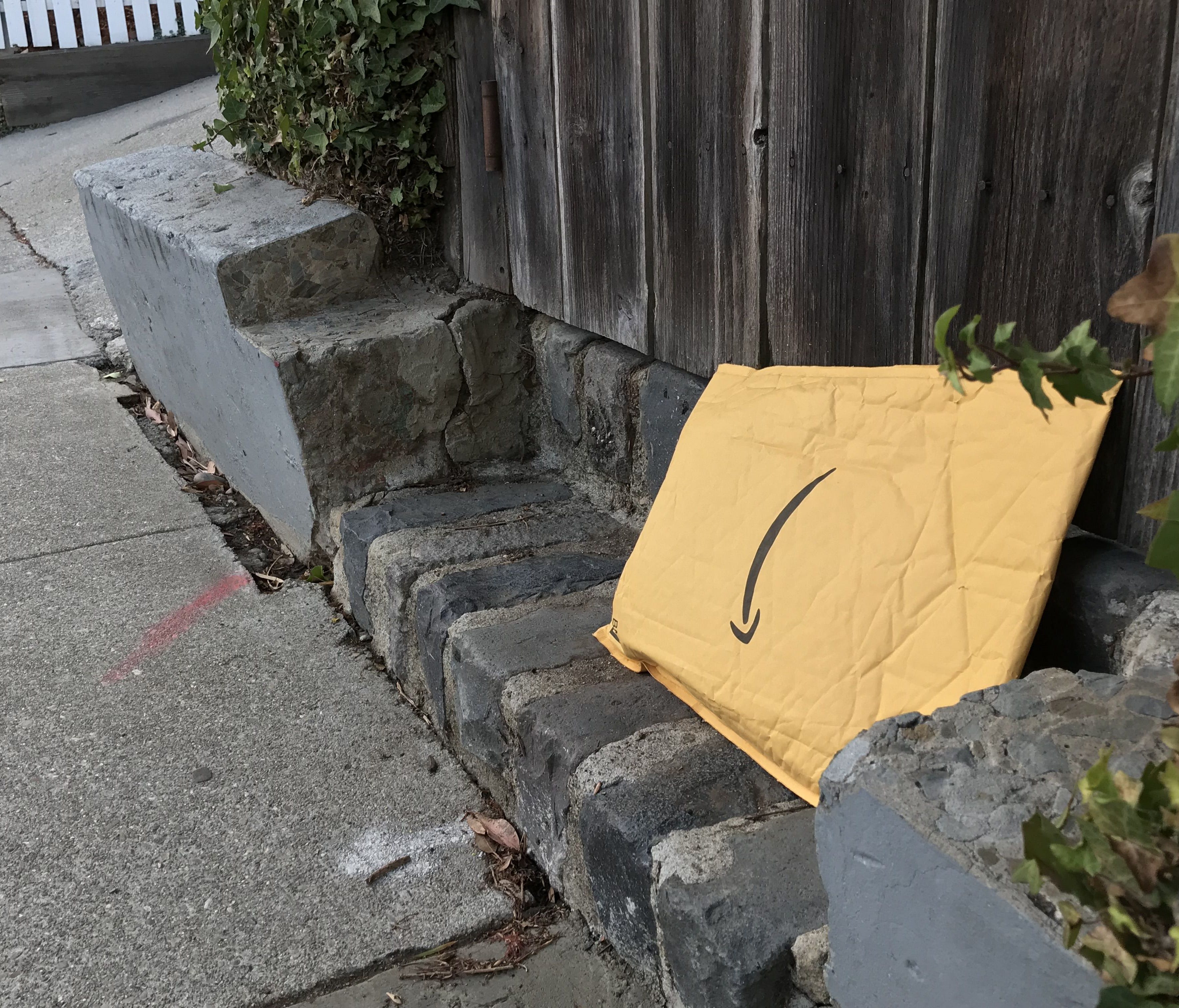 An Amazon package left outside a gate on a street in San Francisco.