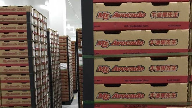 The joint Ventura of Mission Produce in China will operate under the Mr. Avocado brand.
