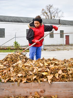 Leaves make a good mulch for plants as long as they're disease free and don't overly-compact.