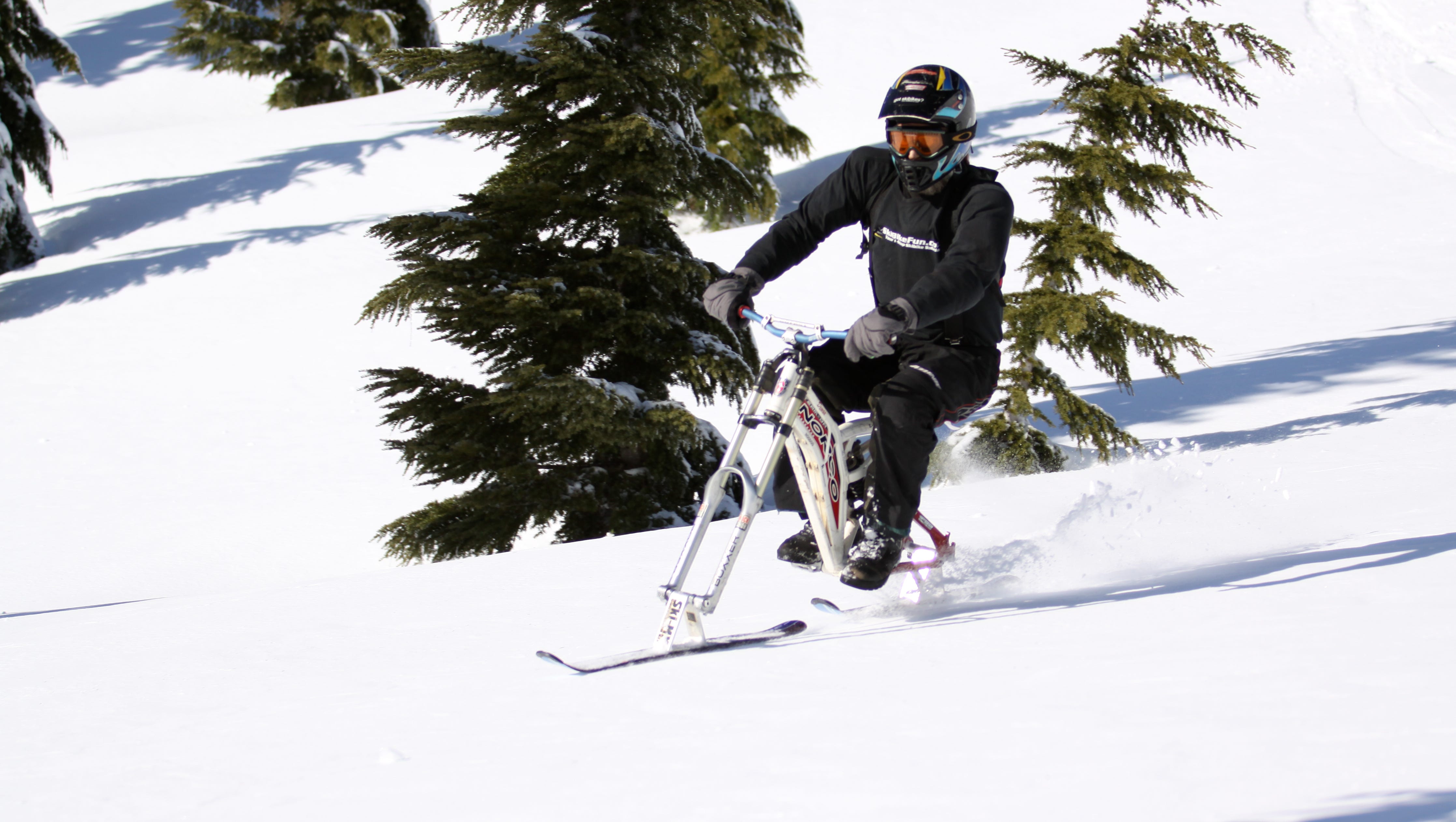 Winter Adventures 10 Unique Activities To Try This Season