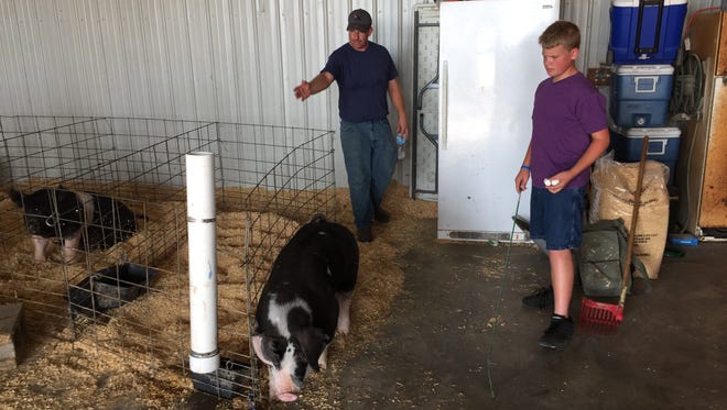 Brad, left, and Will Harman let Will's pig out of the pen on Monday, July 11, 2016, at their farm near Boswell. Will intends to auction his pig at the Benton County Fair and donate the proceeds toward the Greater Lafayette Honor Flight.