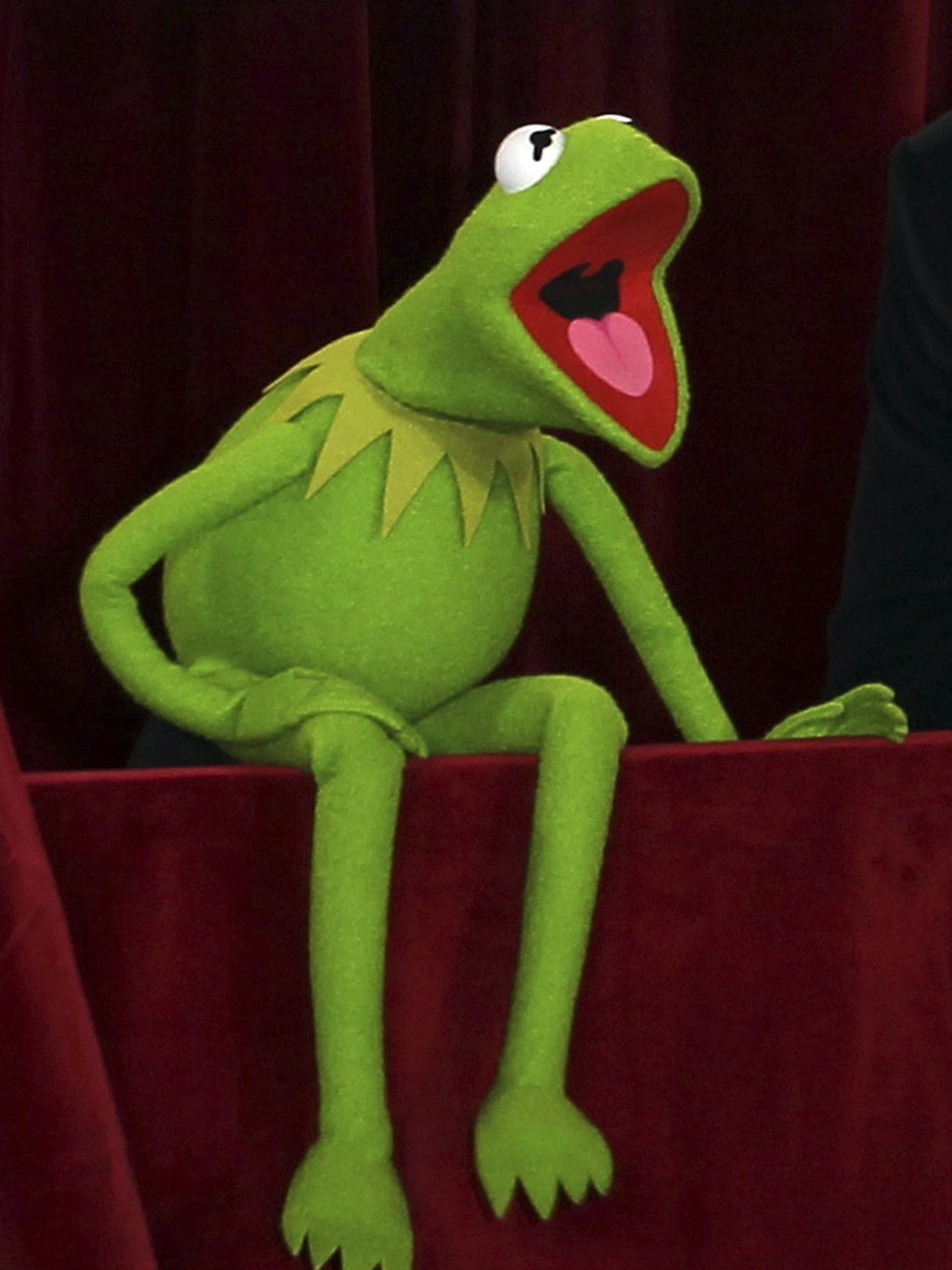 Sexy kermit the frog
